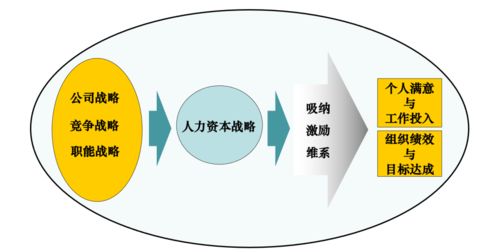 人力資源管理的解構(gòu)與人力資源服務(wù)的良機(jī)——楊偉國教授觀點解析
